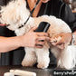 🐶🪮Multifunctional Pet Hair Detangling and Care Comb💈 Effortless Grooming, Care for Your Pet's Coat Health（50% OFF）